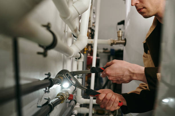 Best Plumbing Services Near Me  in Sault Ste Marie, MI