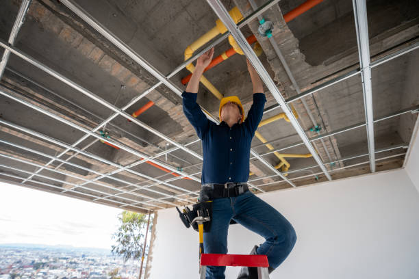 Best Affordable Plumbing Services  in Sault Ste Marie, MI